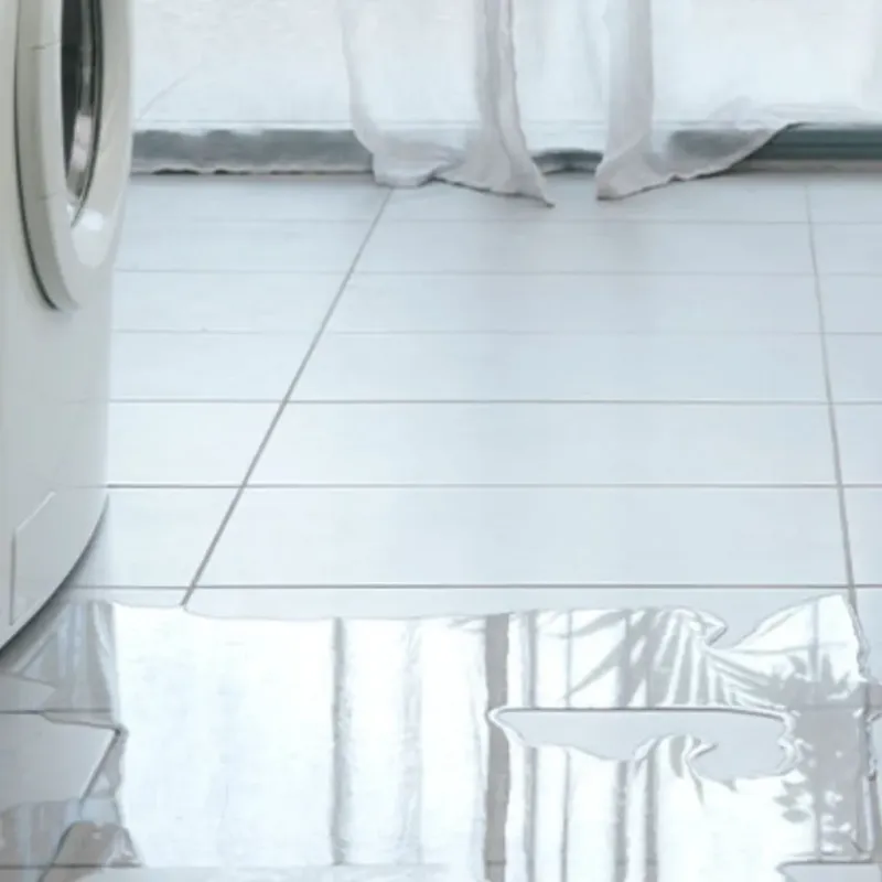 Appliance Leak Cleanup in Crook County, WY