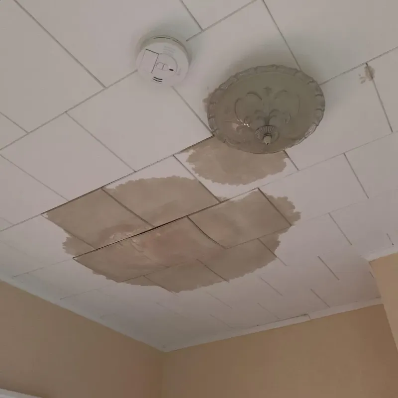 Ceiling Water Damage Repair in Crook County, WY