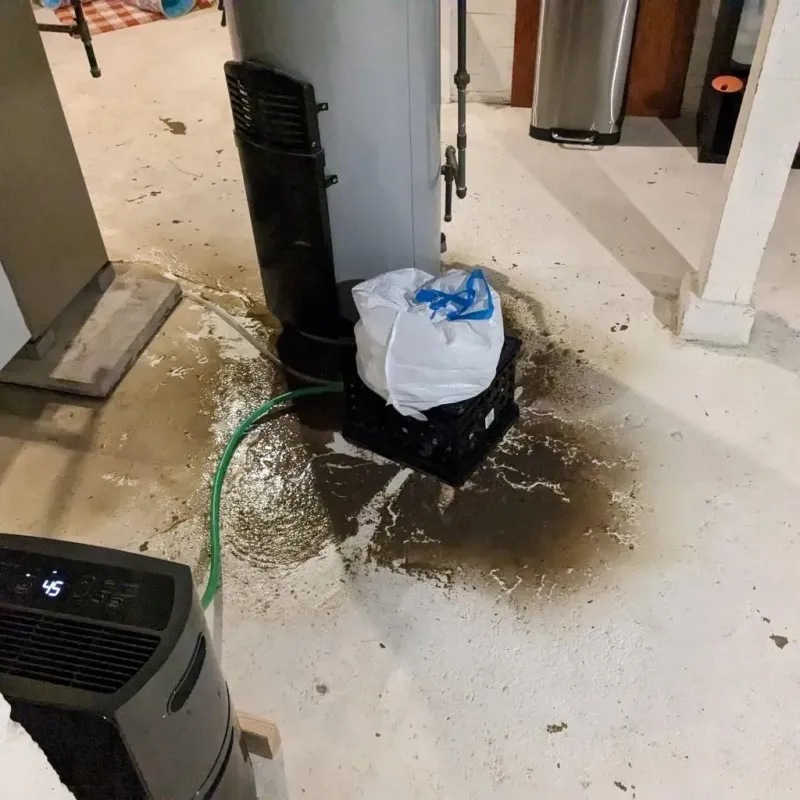 Sewage Backup Cleanup Service in Crook County, WY